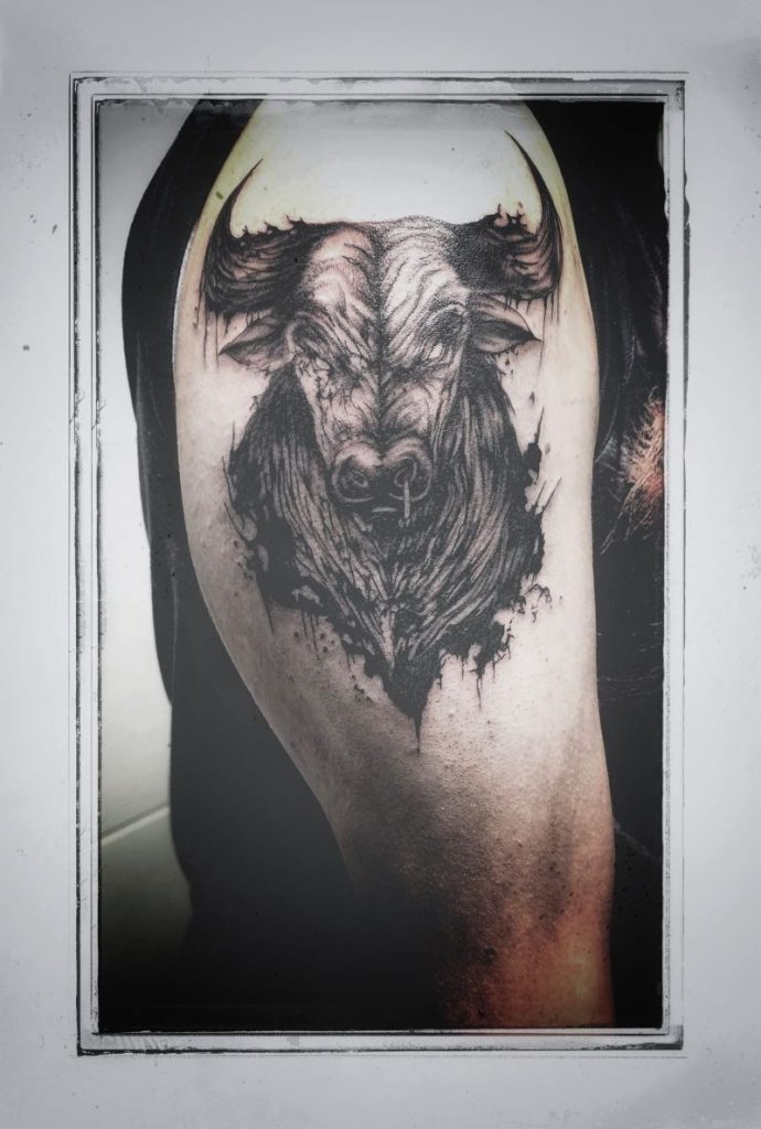 Stier